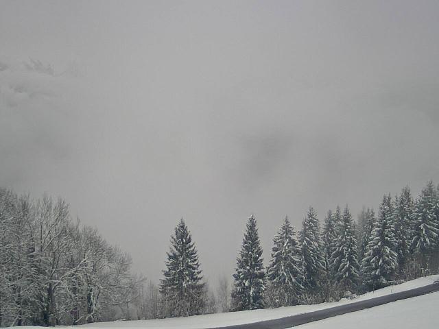 Webcams von fullmarketing.at