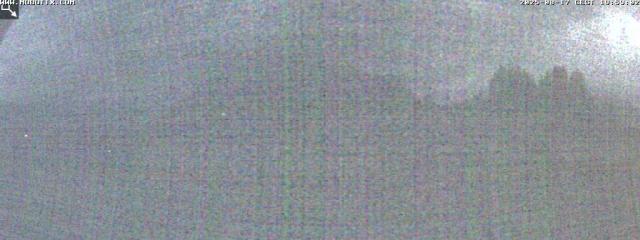 Webcams von fullmarketing.at