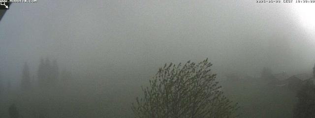 Webcams von fullmarketing.at