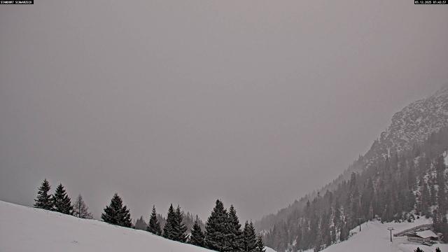 Webcams von fullmarketing.at