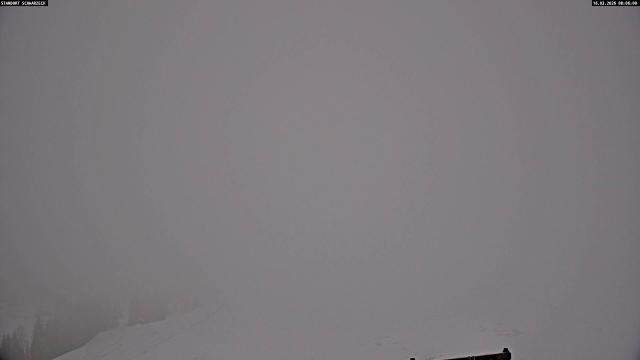 Webcams von fullmarketing.at