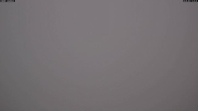 Webcams von fullmarketing.at