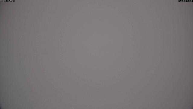 Webcams von fullmarketing.at