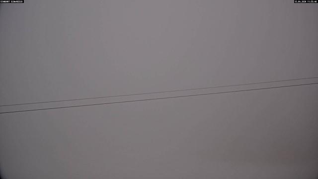 Webcams von fullmarketing.at