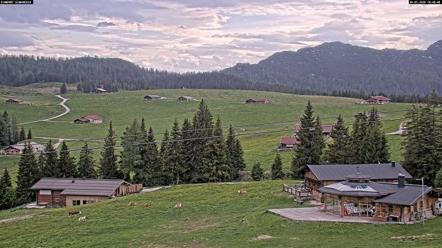 Webcams von fullmarketing.at