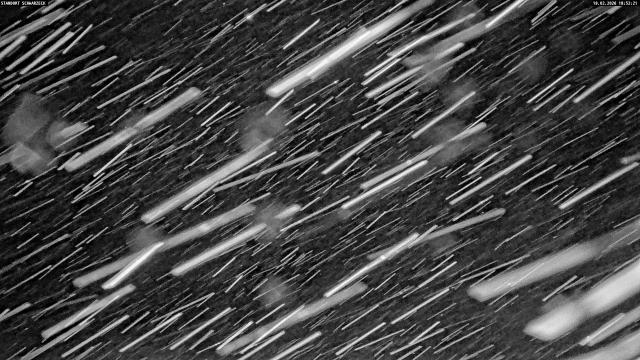 Webcams von fullmarketing.at