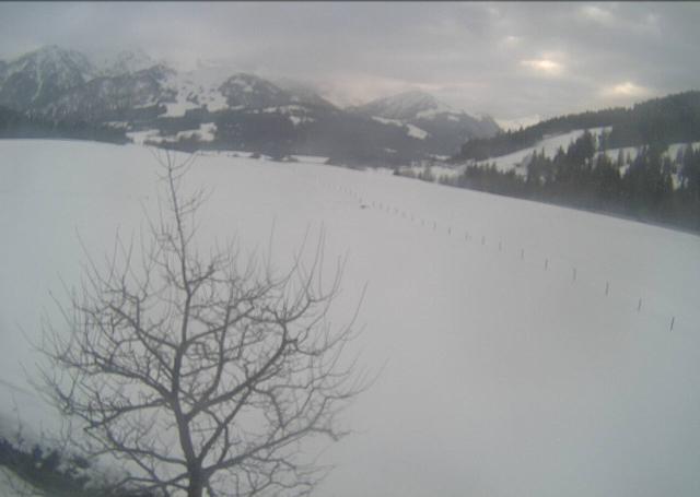 Webcams von fullmarketing.at