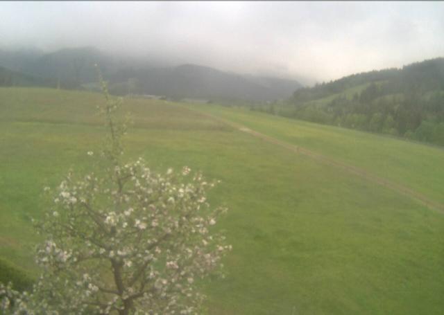 Webcams von fullmarketing.at